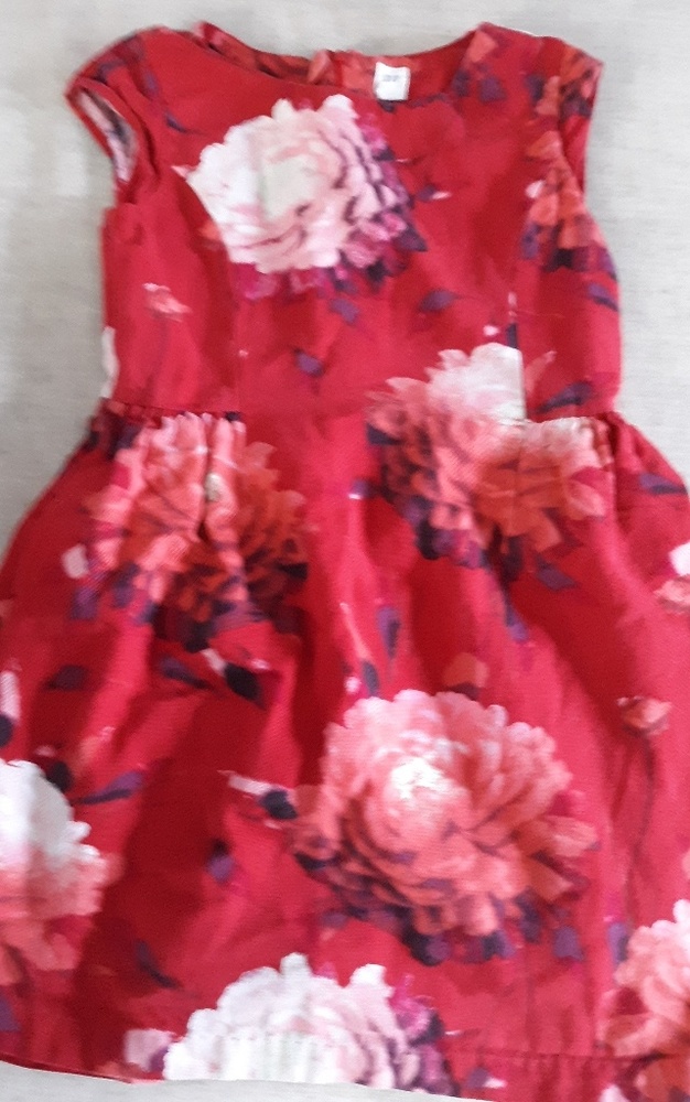 Girl's Gap Dress
